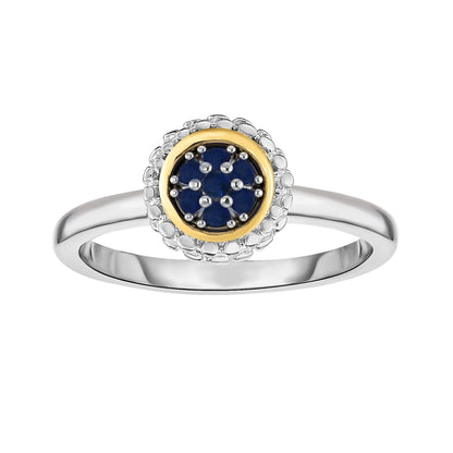 18K Gold and Silver Fancy Ring with Constellation Cluster and Gemstone Options